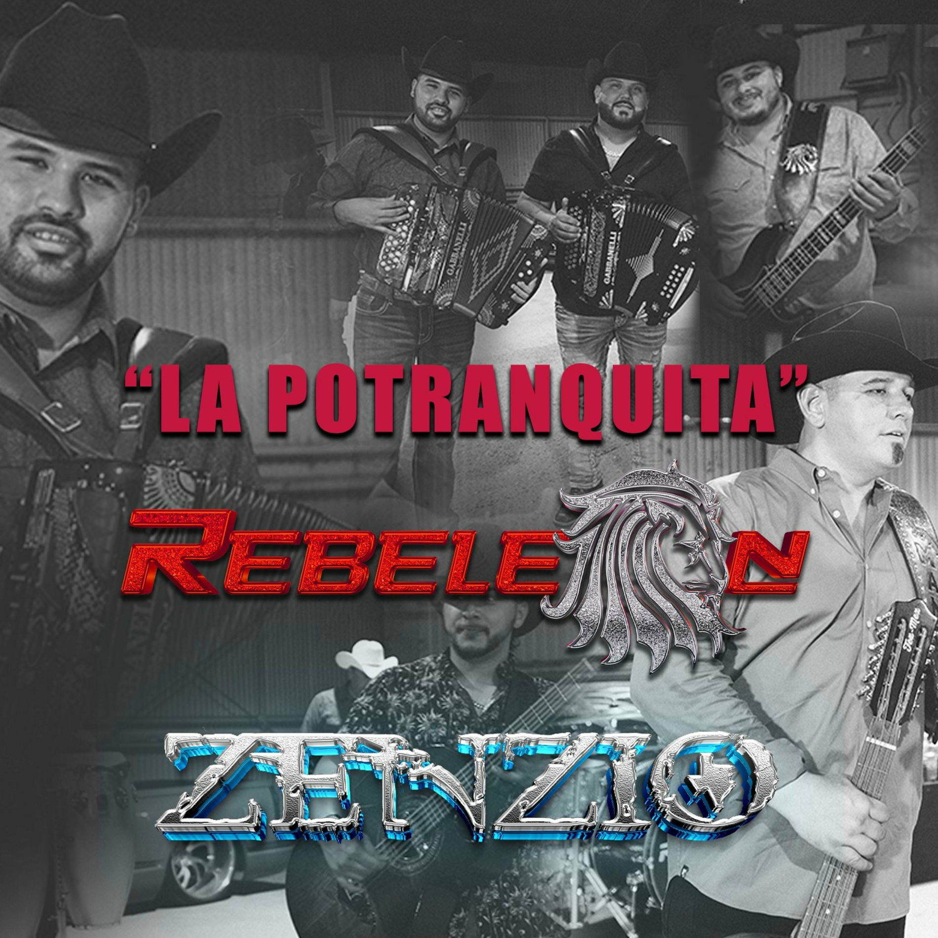 Album cover of La Potranquita (feat. Grupo Zenzio)