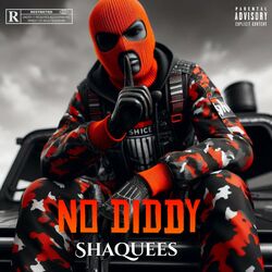 Cover of No Diddy