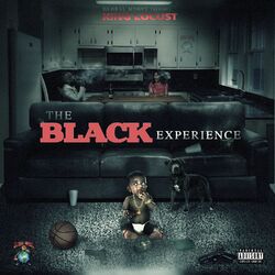Cover of The Black Experience