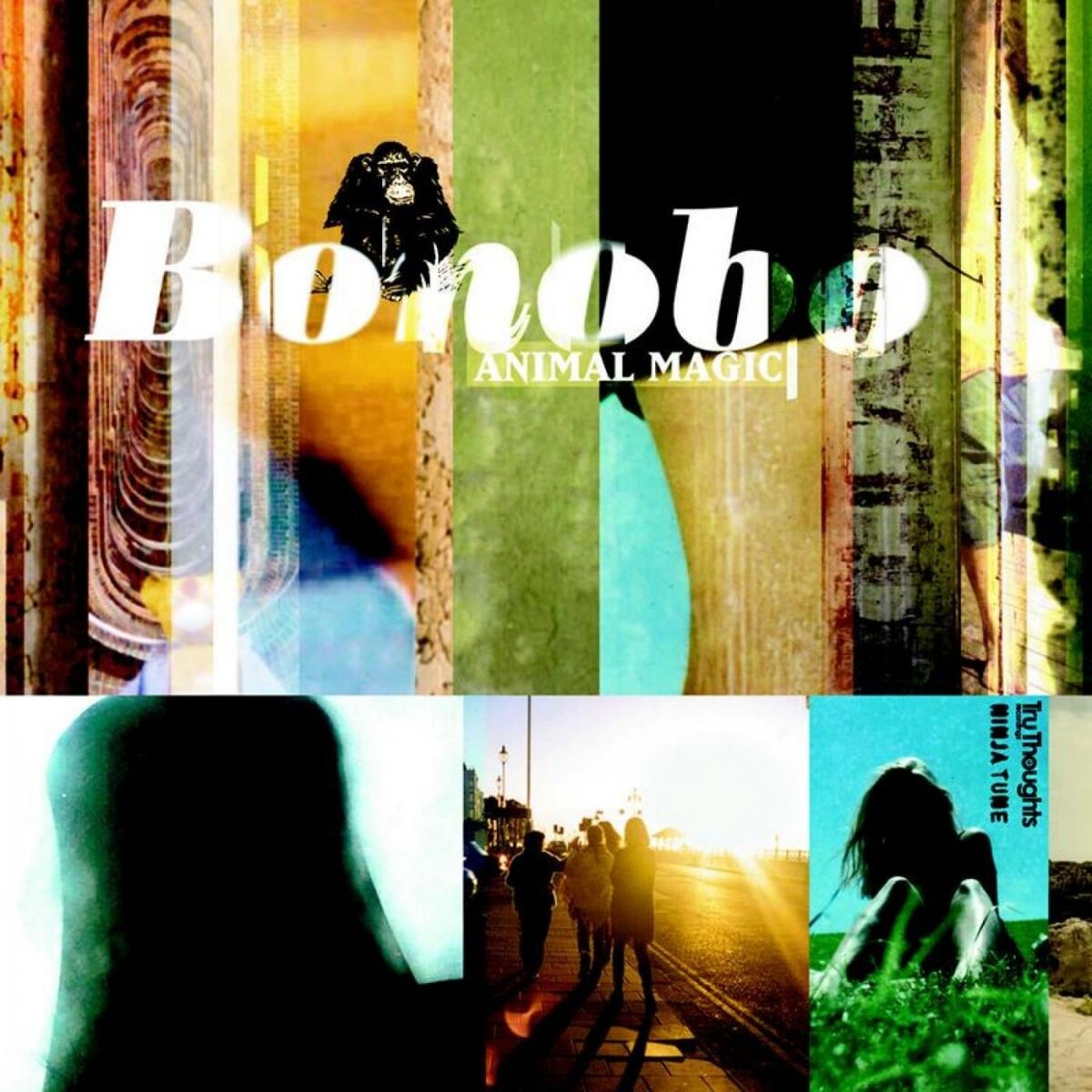 Album cover of Intro