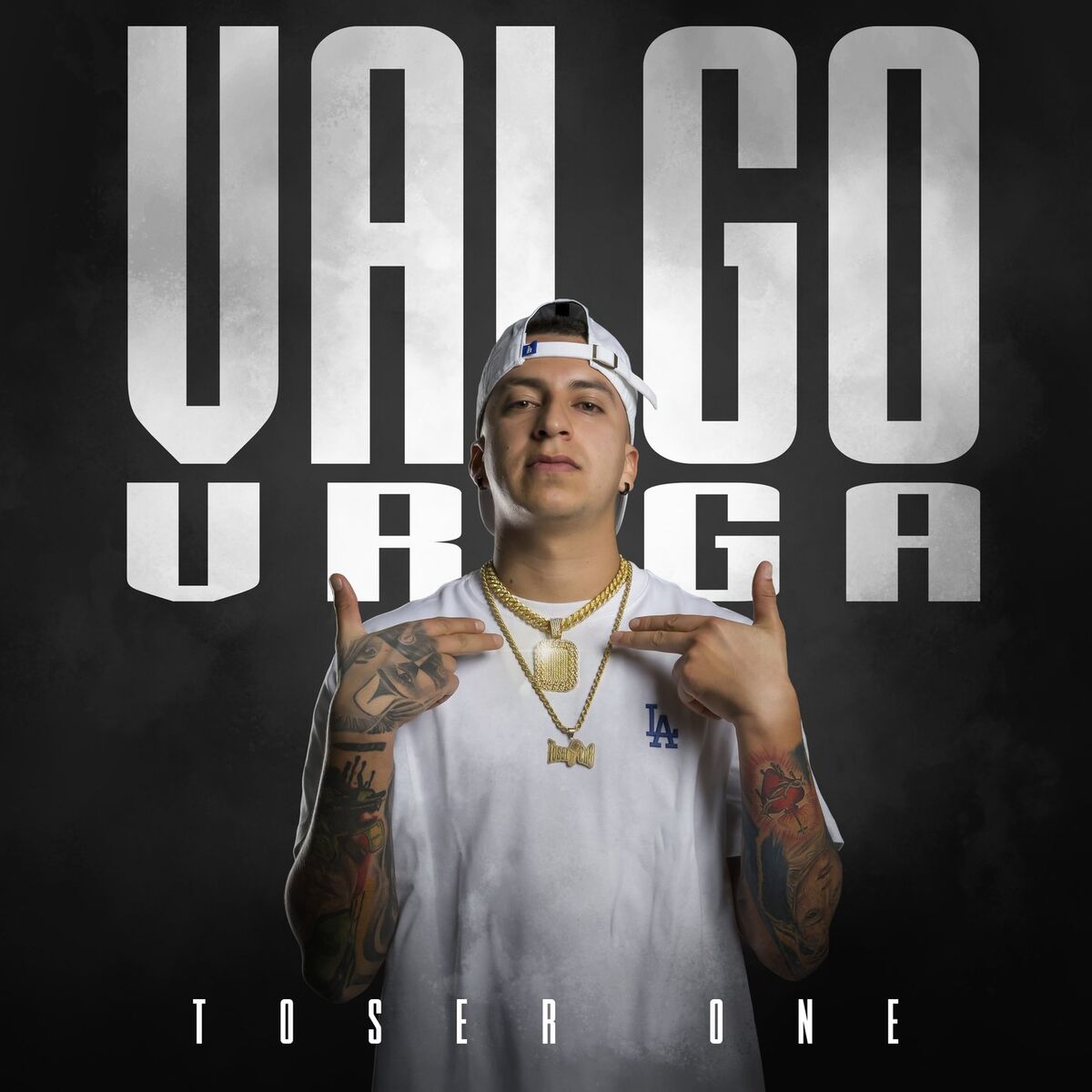 Album cover of Valgo Vrga