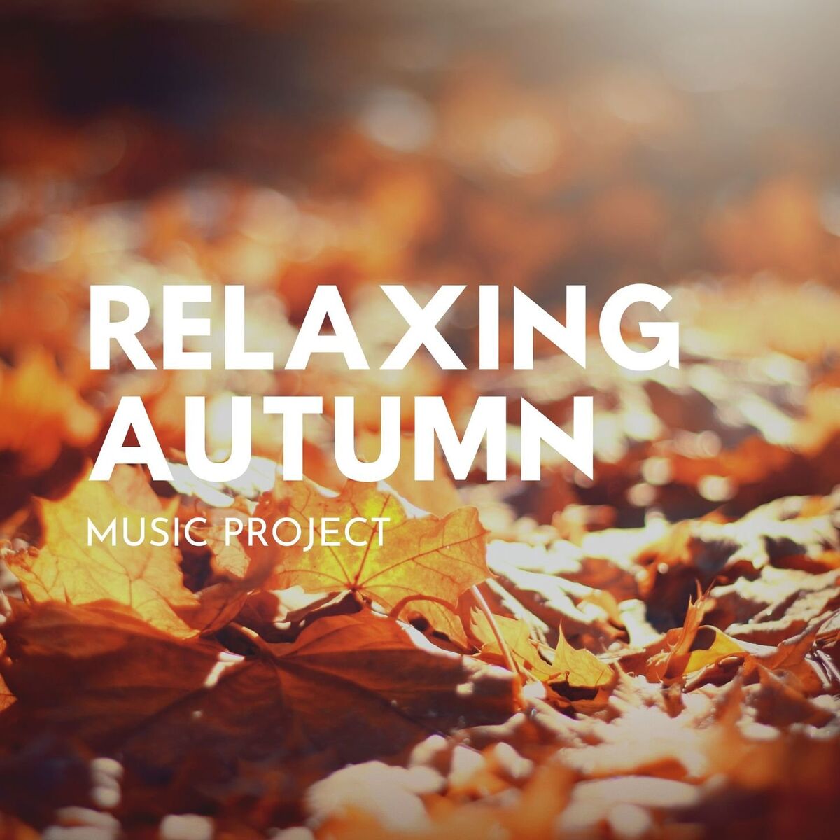 Album cover of Calming Bird Sounds