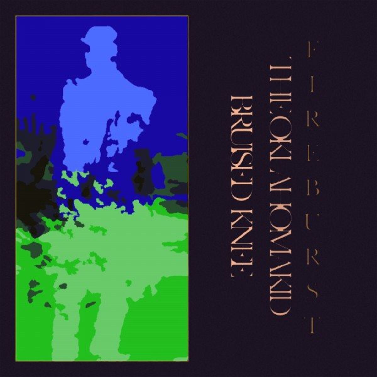 Album cover of Fire Burst