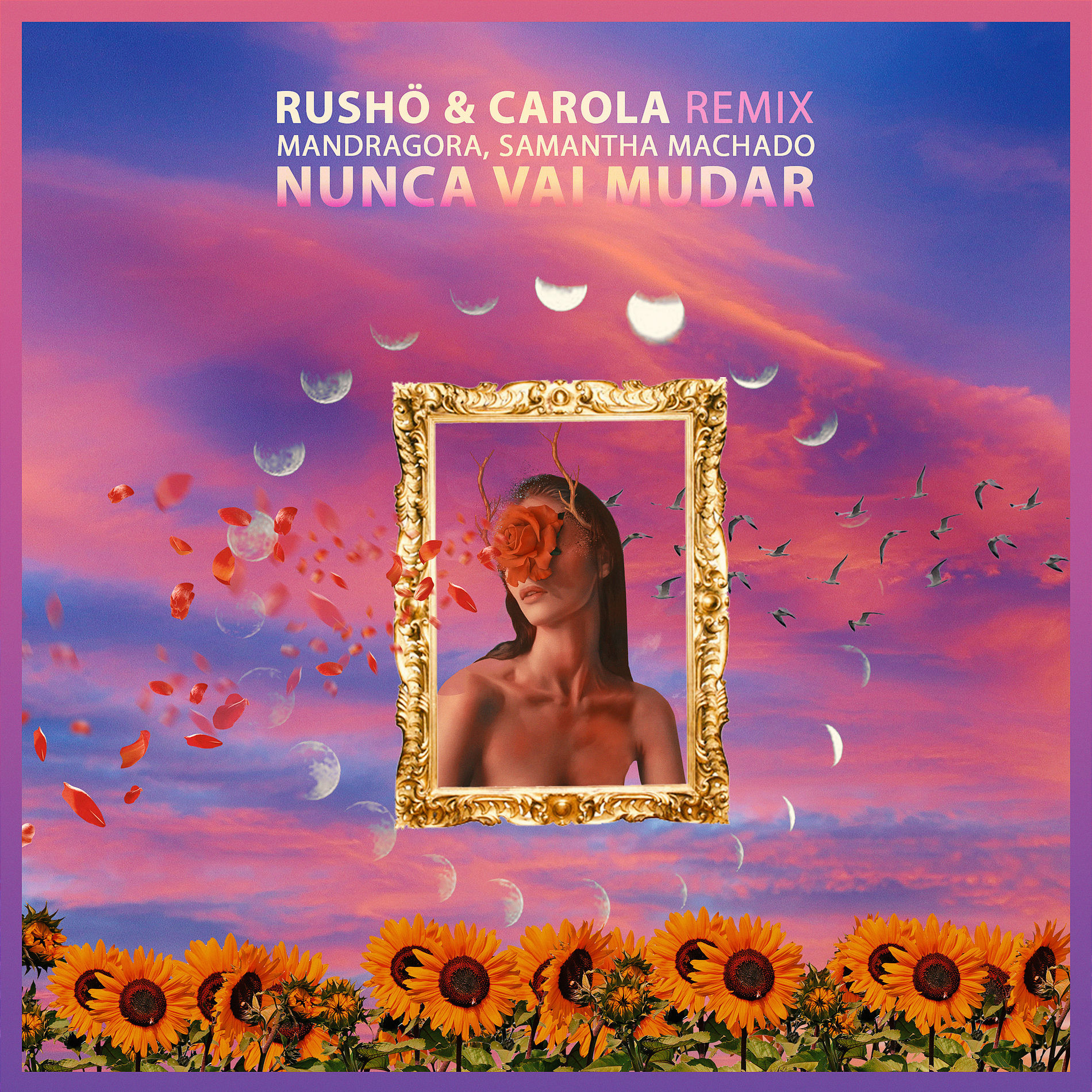 Album cover of Nunca Vai Mudar