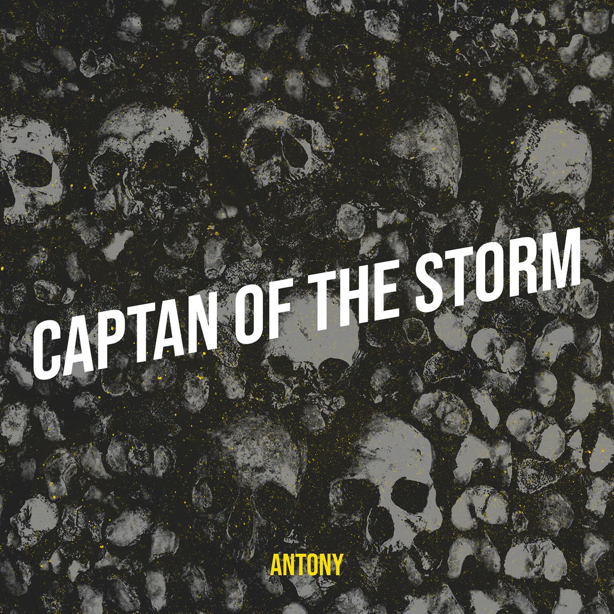 Album cover of Captan of the Storm