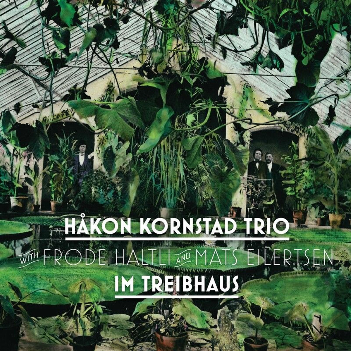 Album cover of Im Treibhaus