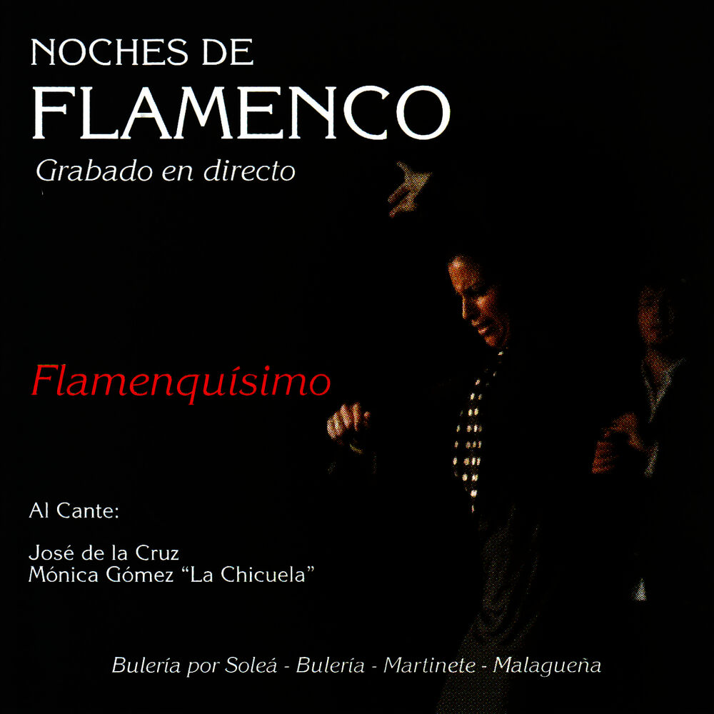 Picture of Noches de Flamenco - Flamenquisimo