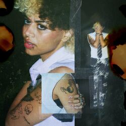 Cover of in the flesh