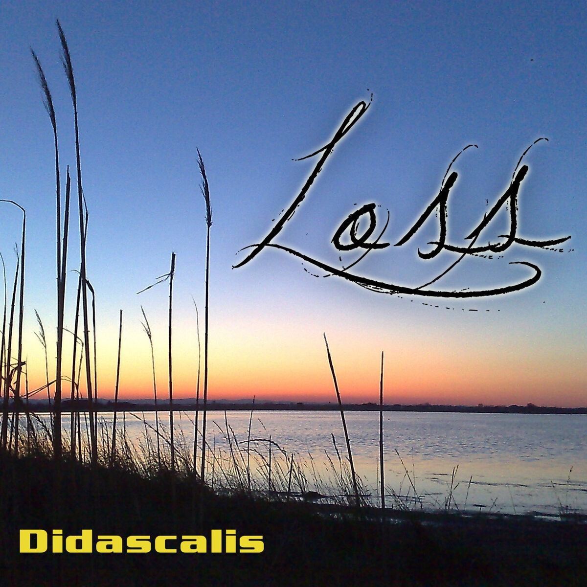 Album cover of Loss