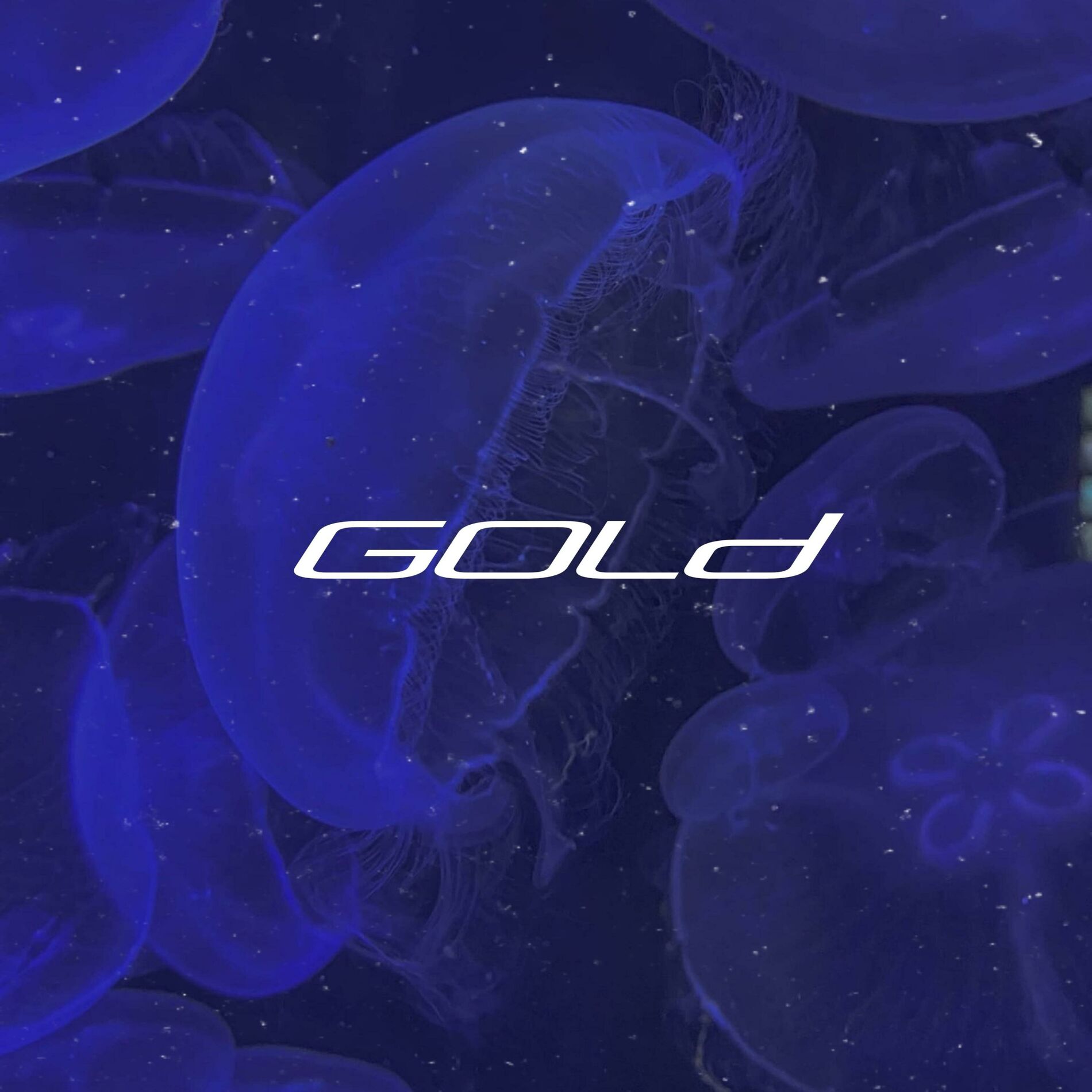 Album cover of Gold