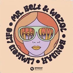 Cover of I Feel Love