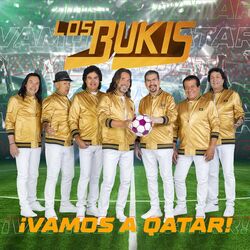 Cover of Vamos a Qatar