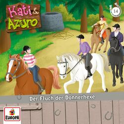 Cover of 14/Der Fluch der Donnerhexe