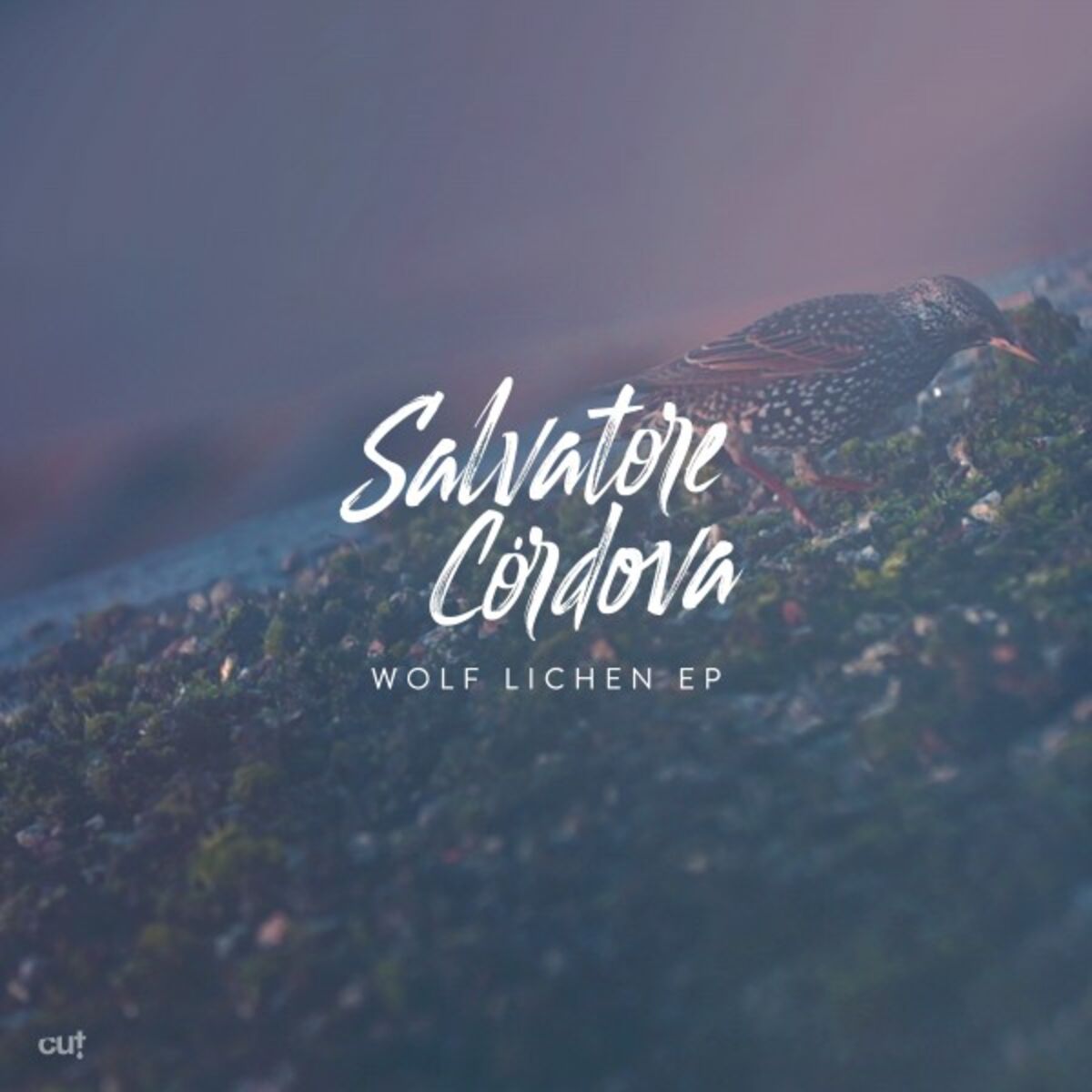 Album cover of Wolf Lichen EP