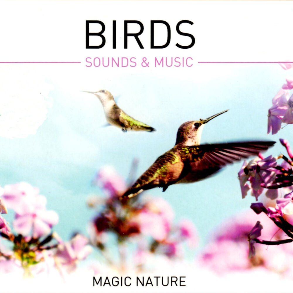 Picture of Birds - Sounds & Music (Gapless)