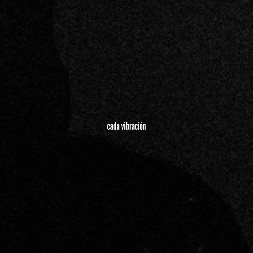 Picture of Cada Vibración