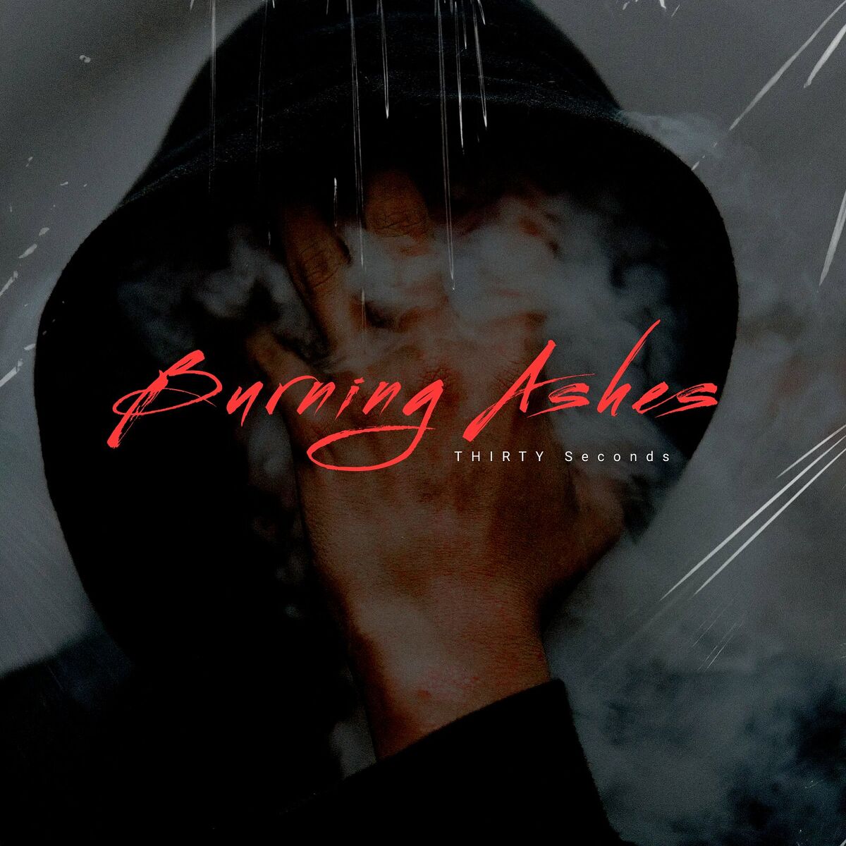 Album cover of Burning Ashes