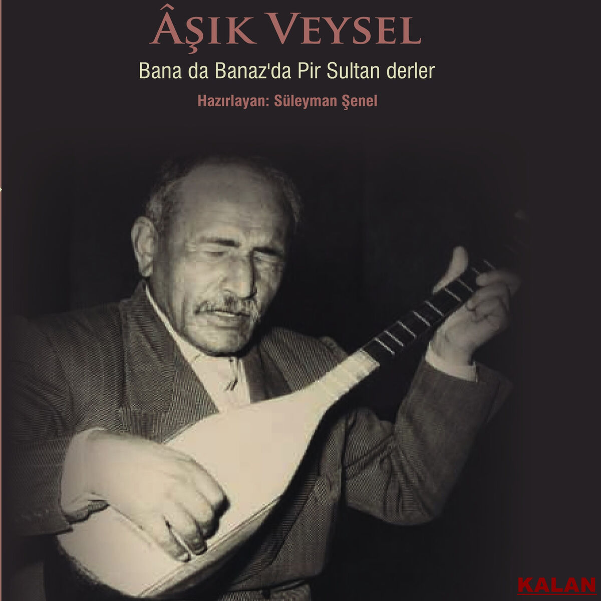 Album cover of Bana da Banaz'da Pir Sultan Derler