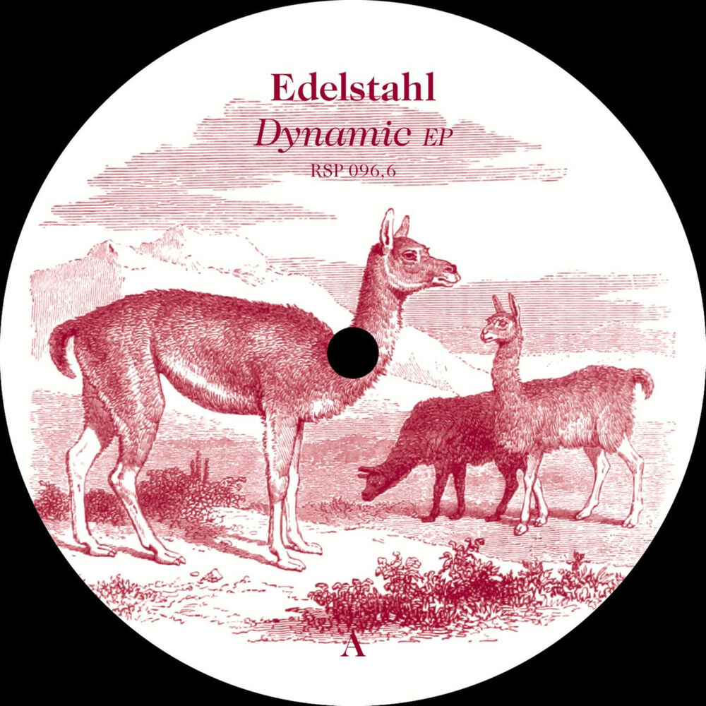 Picture of Dynamic
