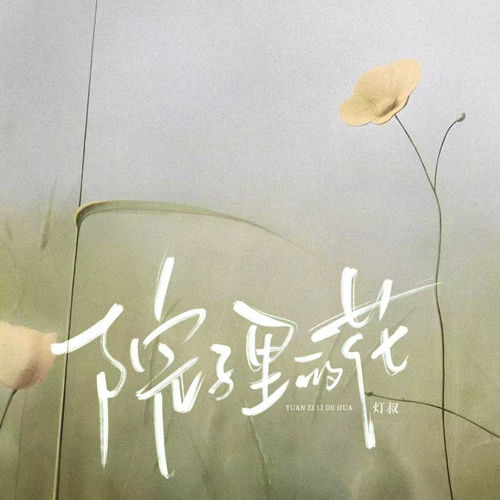 院子里的花