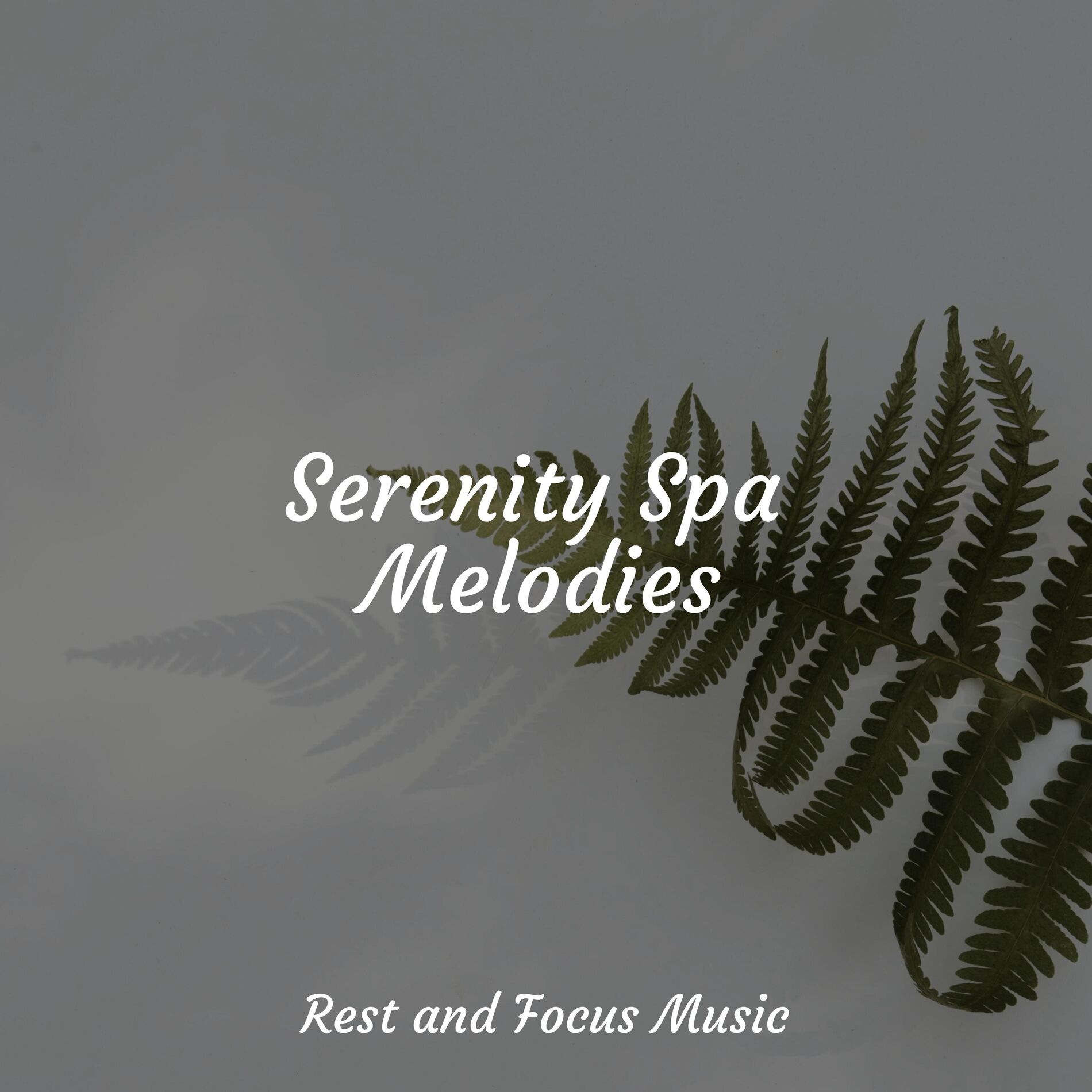 Album cover of Serenity Spa Melodies