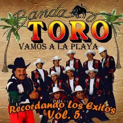 Cover of Vamos a la Playa, Recordando los Exitos