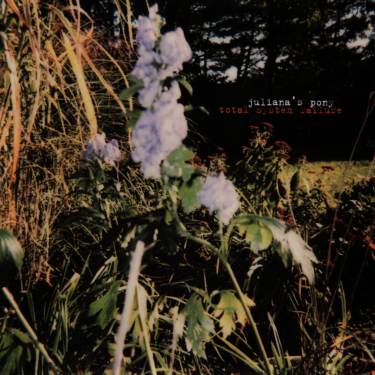 Album cover of Juliana's Pony: Total System Failure