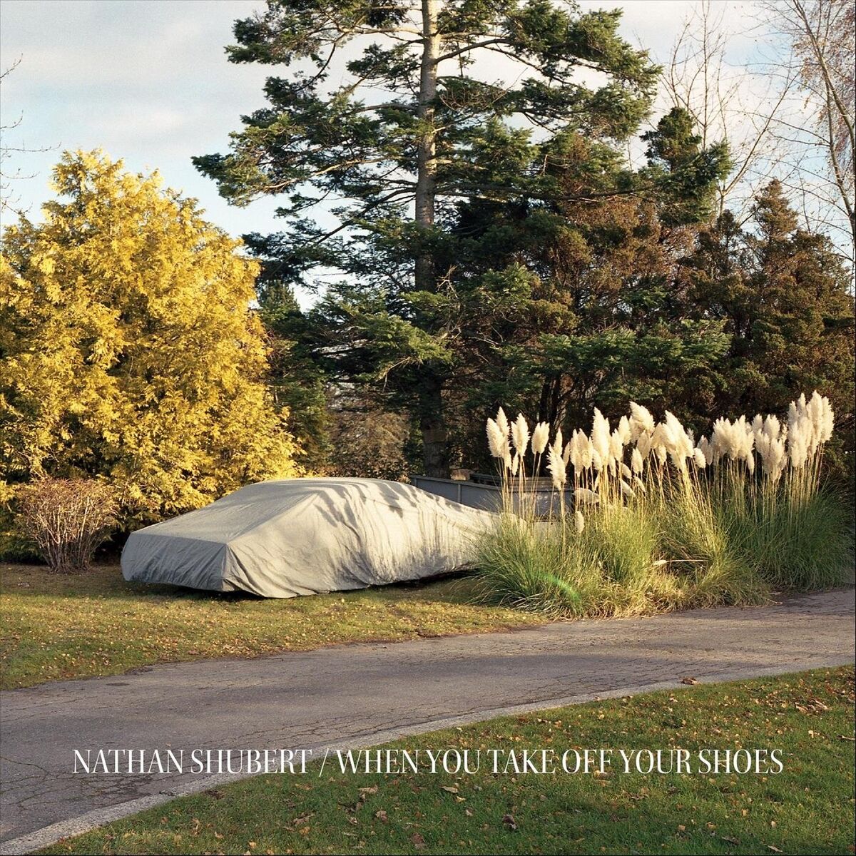 Album cover of A Thought, Persisted