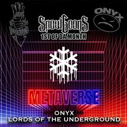 Cover of Metaverse