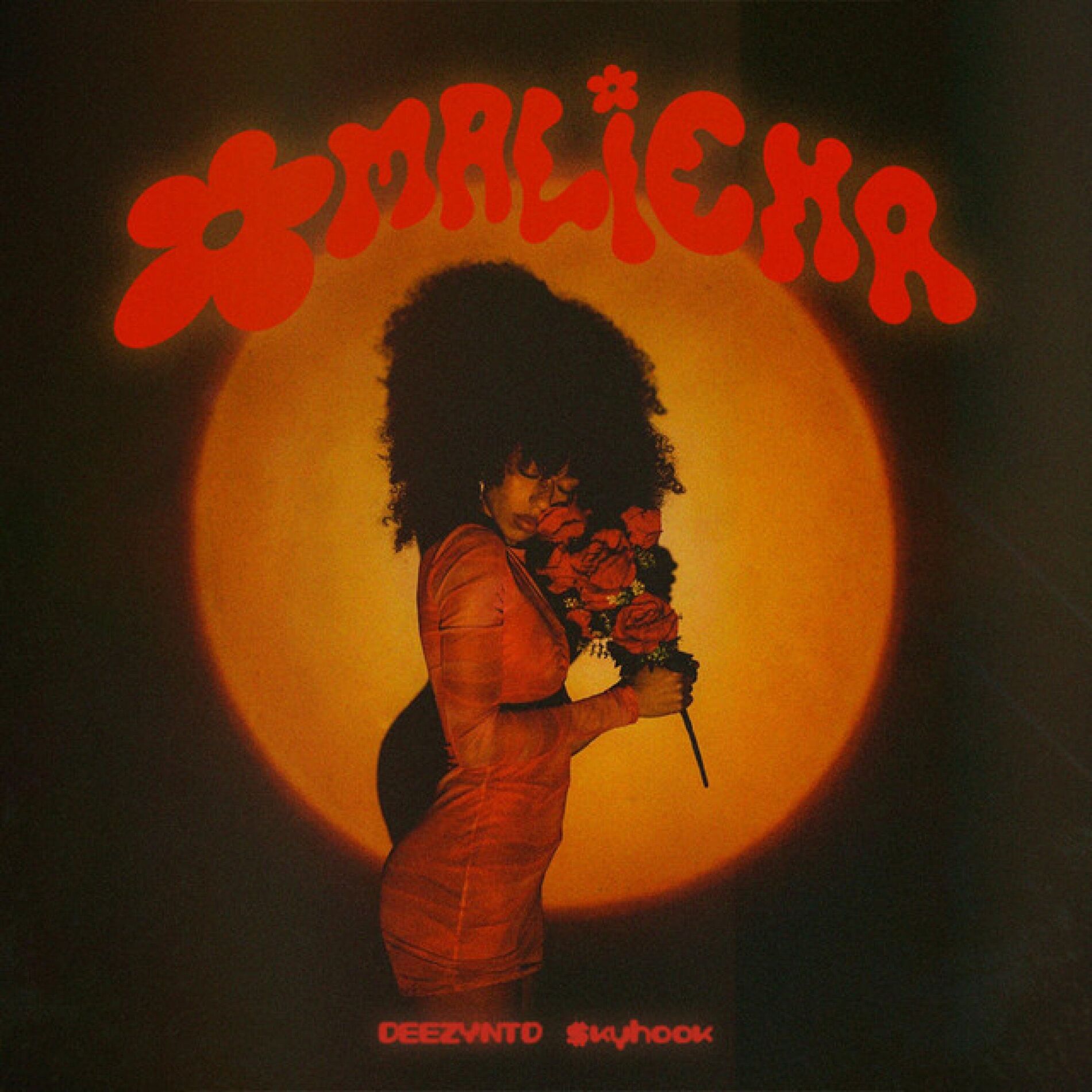 Album cover of Omalicha
