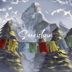 Cover of Saazishein
