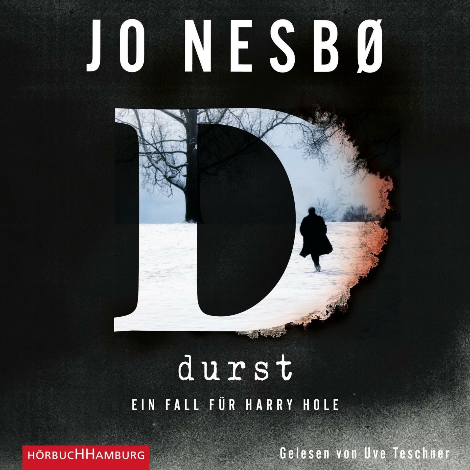 Album cover of Durst (Ein Harry-Hole-Krimi 11)