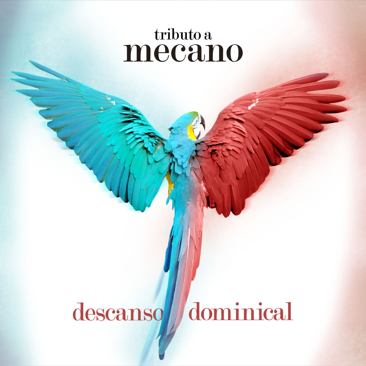 Album cover of Descanso Dominical: Tributo a Mecano