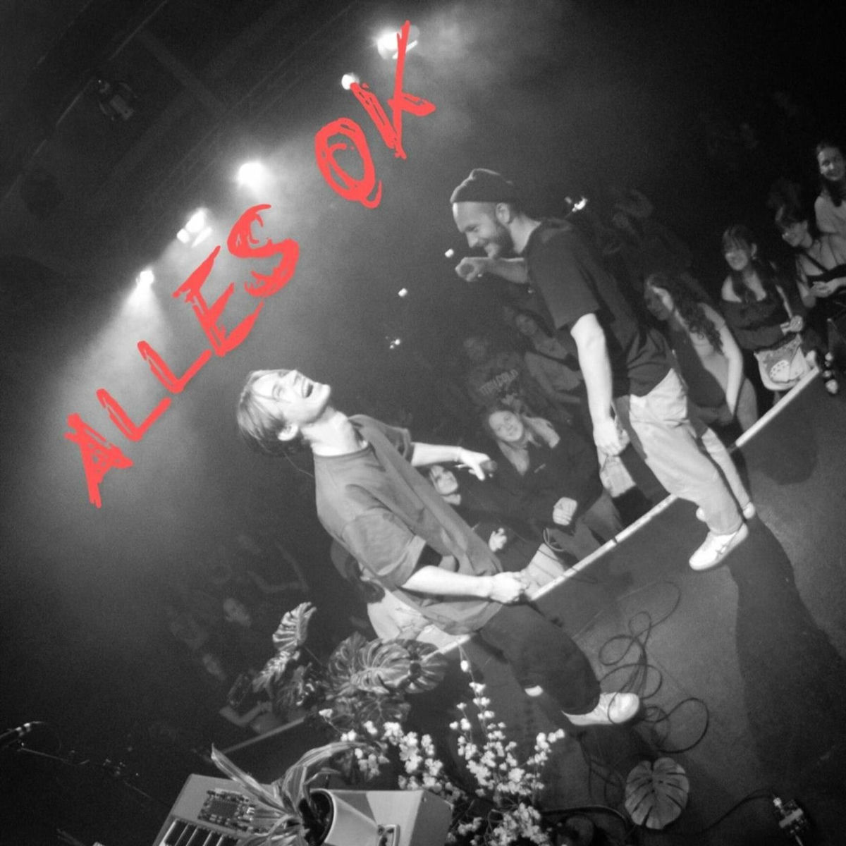 Album cover of ALLES OK