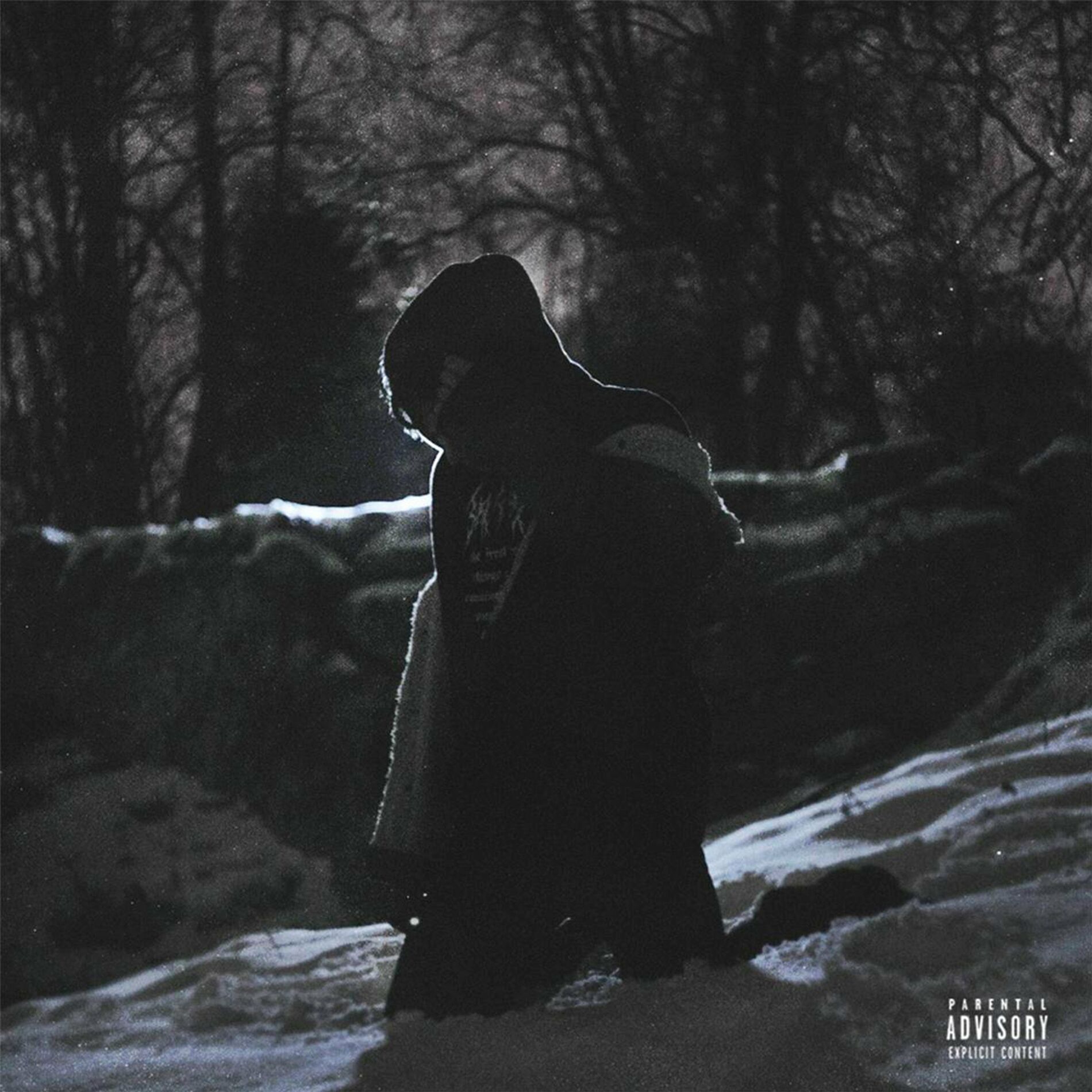 Album cover of Damn Garden