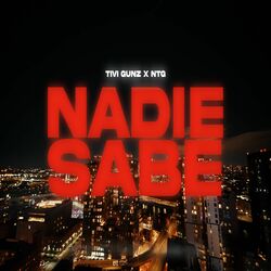 Cover of Nadie Sabe