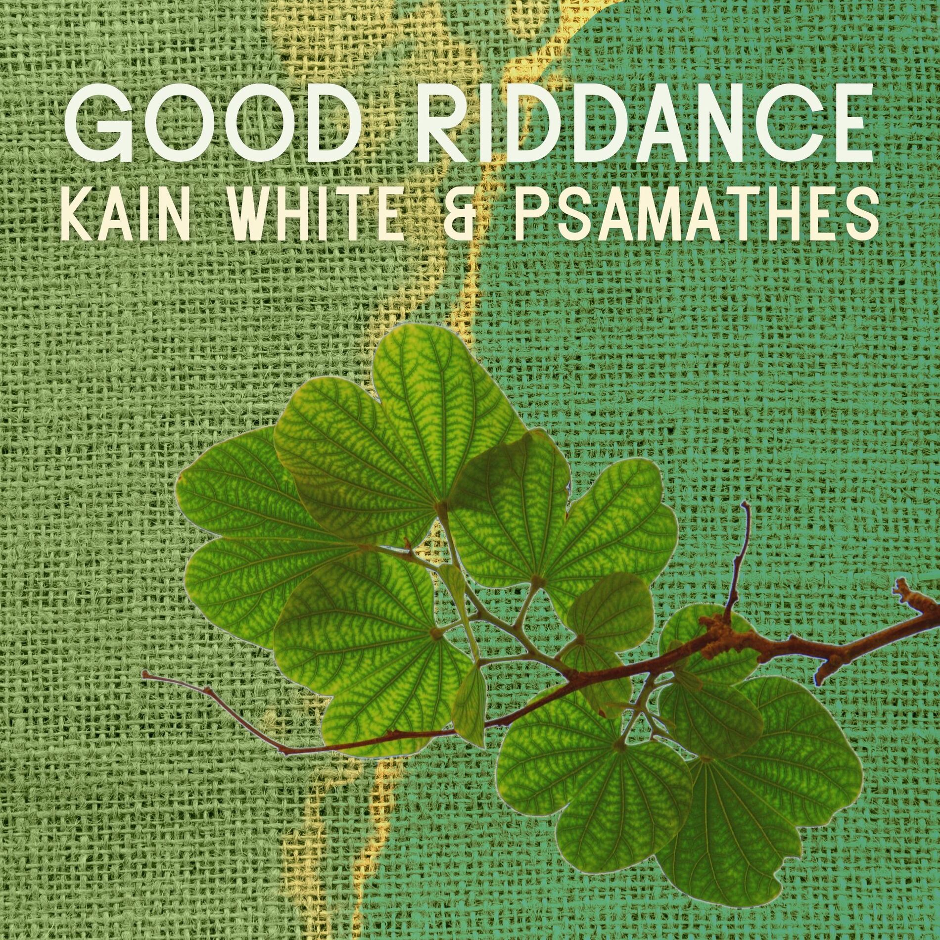 Album cover of Good Riddance (From 
