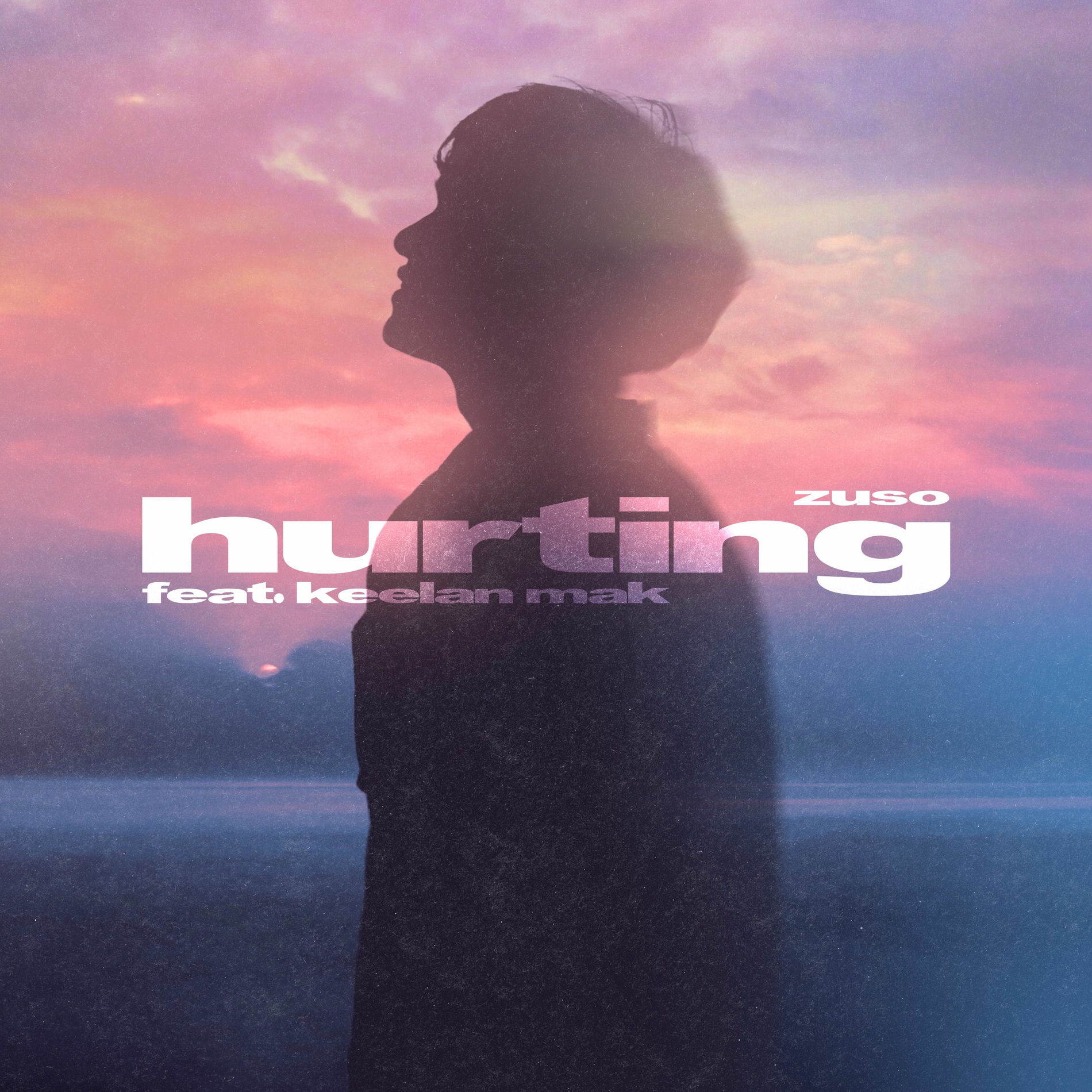 Album cover of Hurting