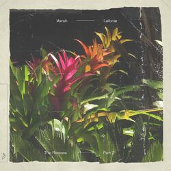 Cover of Lailonie (The Remixes: Part 2)
