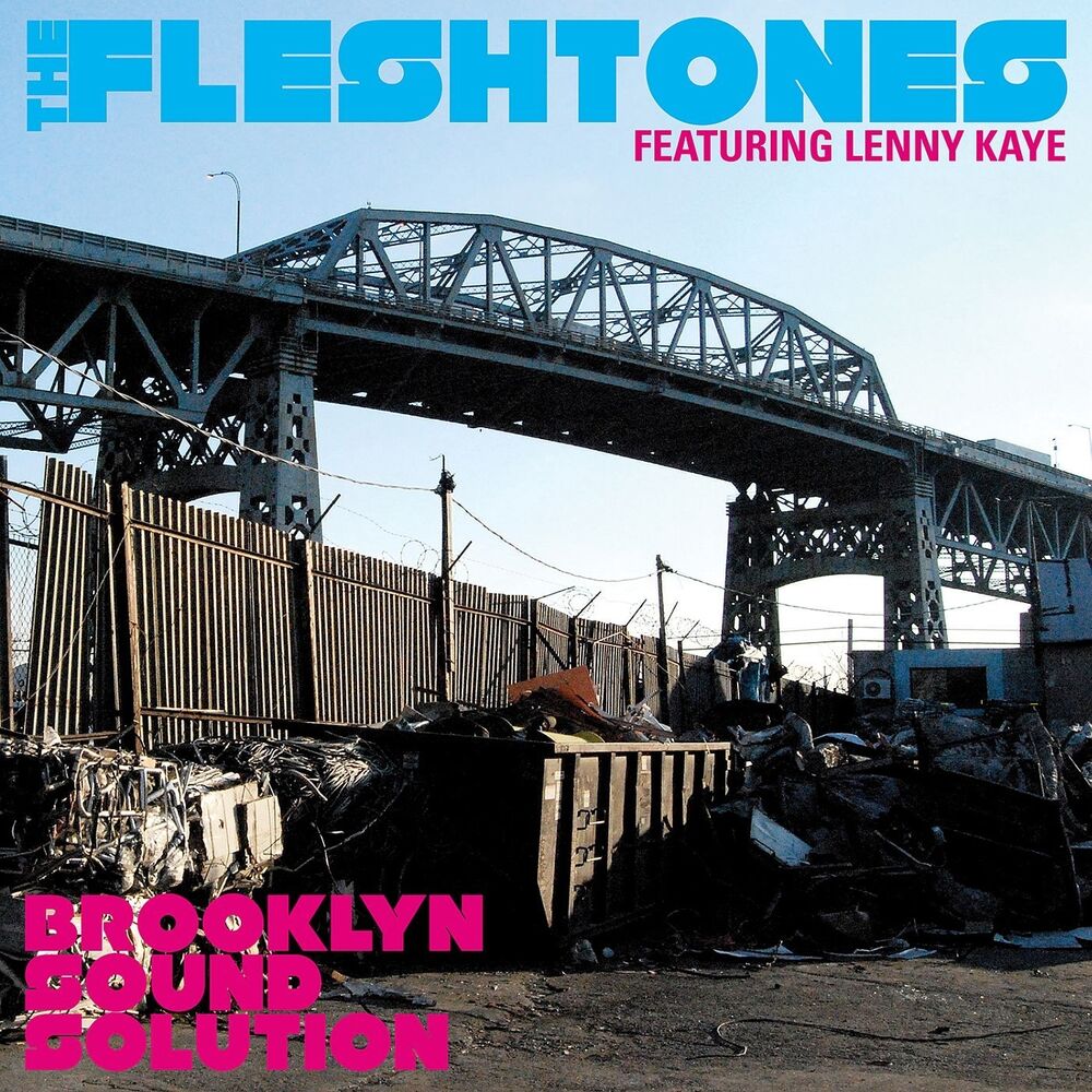 Picture of Brooklyn Sound Solution (feat. Lenny Kaye)