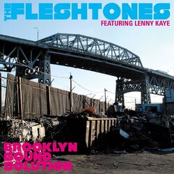 Cover of Brooklyn Sound Solution (feat. Lenny Kaye)