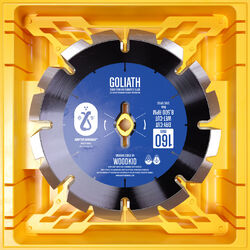 Cover of Goliath