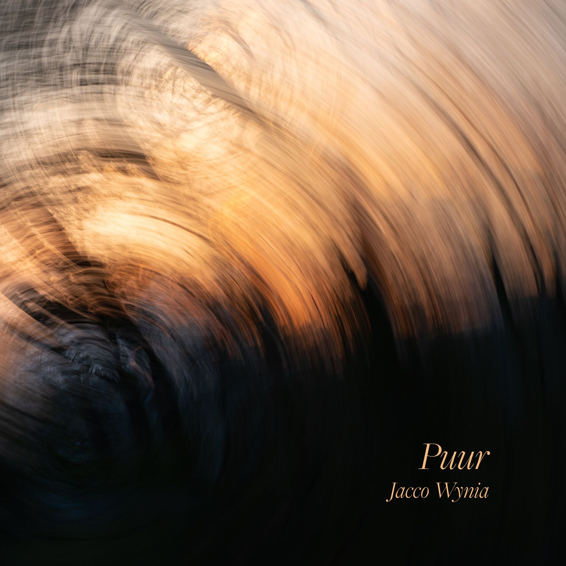 Album cover of Puur