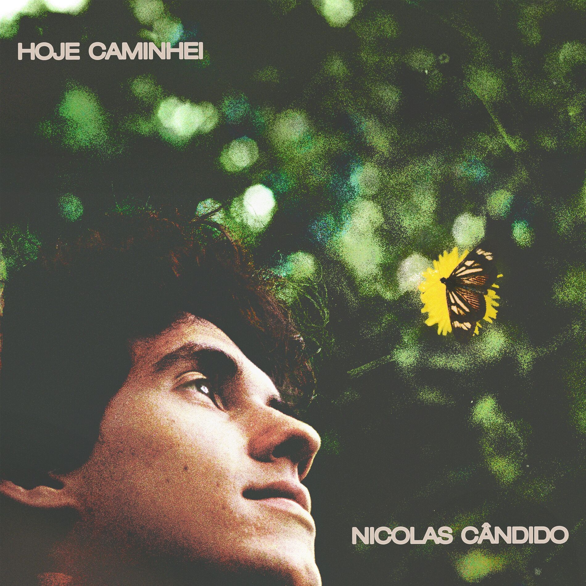 Album cover of Hoje Caminhei