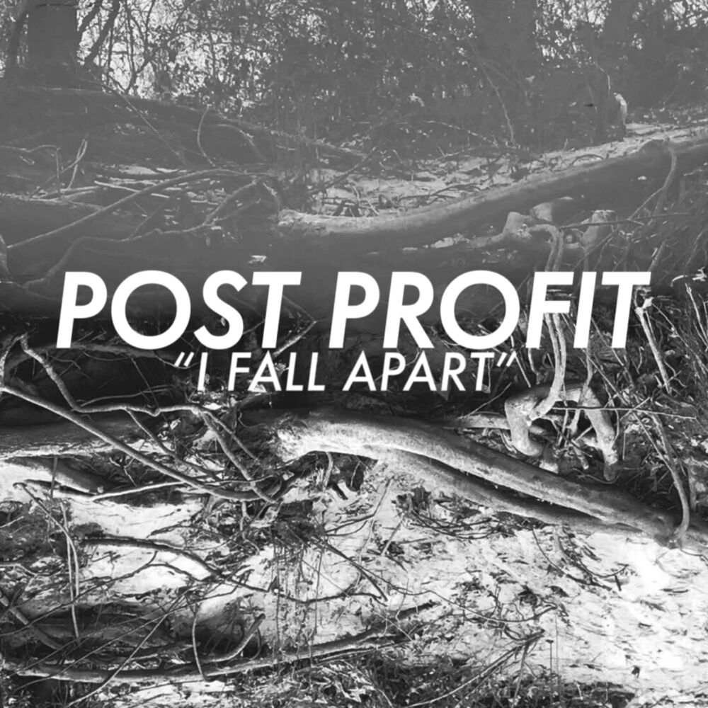 Picture of I Fall Apart