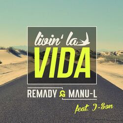 Cover of Livin' La Vida