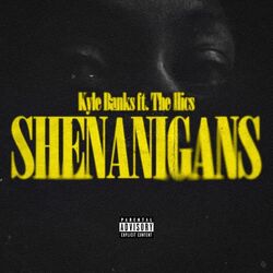 Cover of Shenanigans
