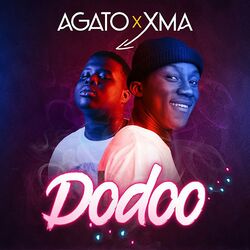 Cover of Dodoo