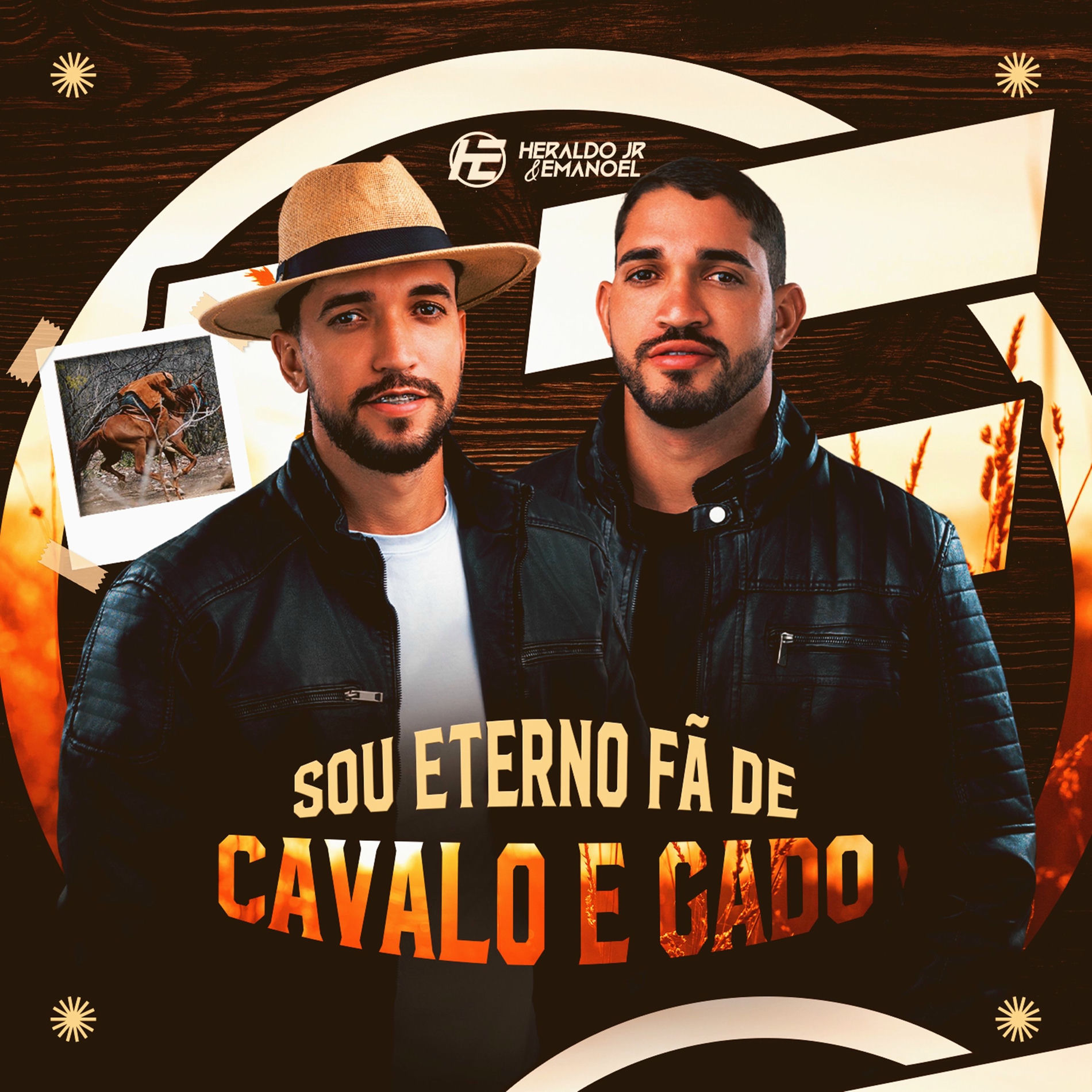 Album cover of Sou Eterno Fã de Cavalo e Gado