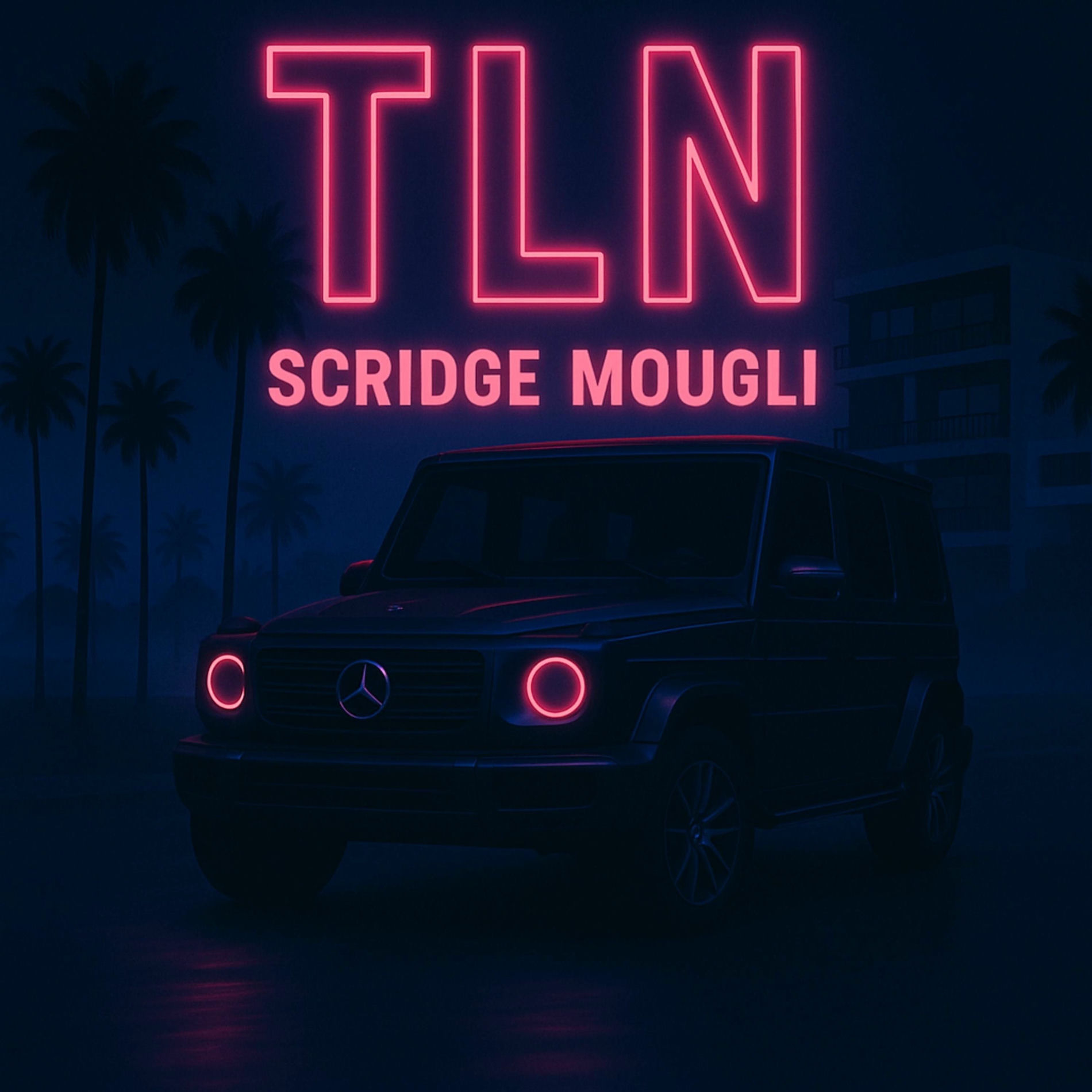 Album cover of TLN